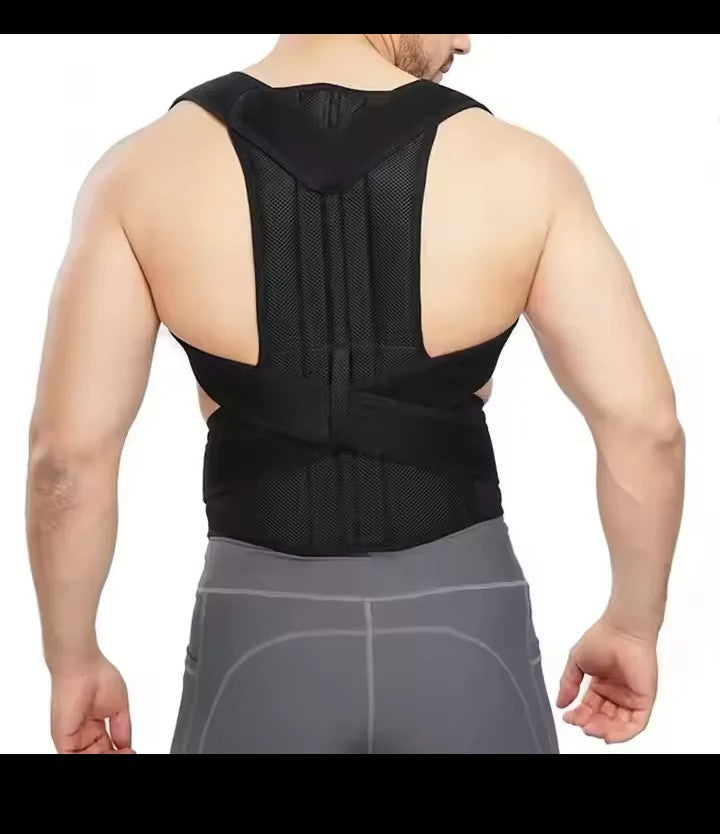 Posture Belt
